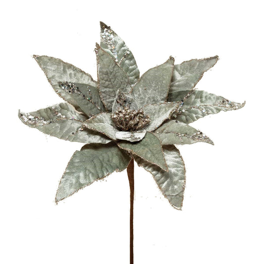 Heirloom Poinsettia Stem - Champagne
