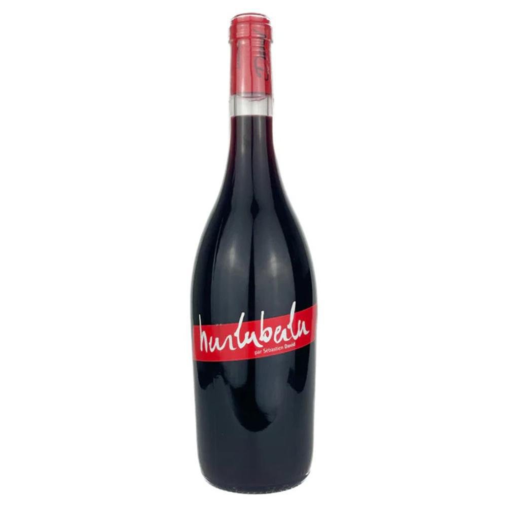 Domaine Sebastien David - 'Hurluberlu 2023' St. Nicolas De Bourgueil Cabernet Franc (750ML)