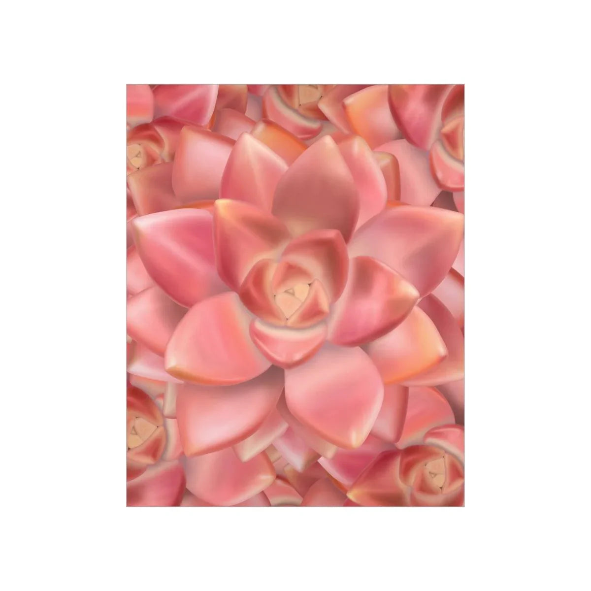 Graptosedum California Sunset Succulent Pattern Botanical Print – Unframed Wall Art