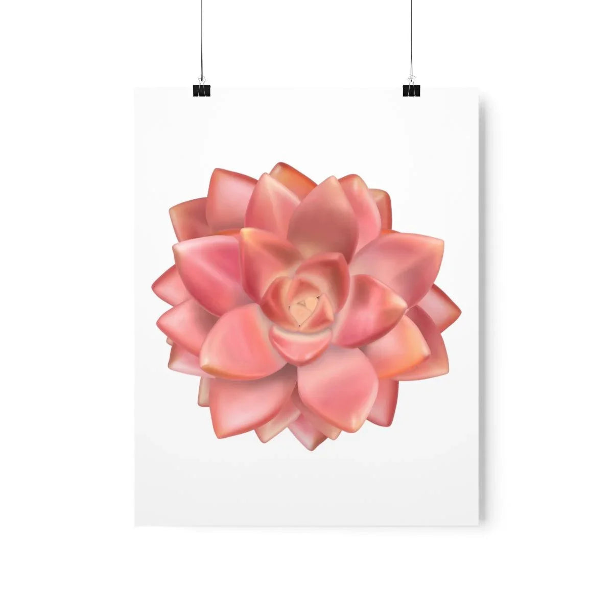 Graptosedum California Sunset Succulent Botanical Print – Unframed Wall Art