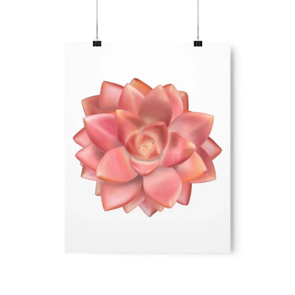 Graptosedum California Sunset Succulent Botanical Print – Unframed Wall Art