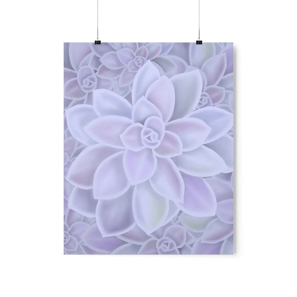 Graptopetalum Murasaki Succulent Pattern Botanical Print – Unframed Wall Art