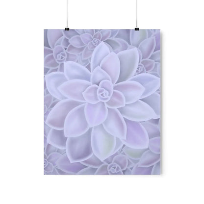 Graptopetalum Murasaki Succulent Pattern Botanical Print – Unframed Wall Art