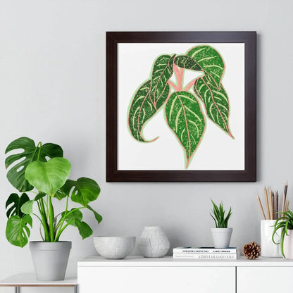 Aglaonema Sparkling Sarah Framed Print – Botanical Wall Art