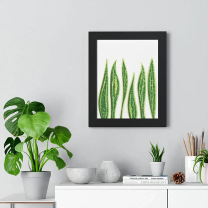 Snake Plant Framed Print – Botanical Wall Art
