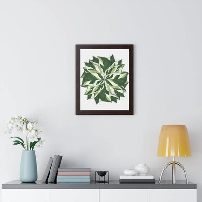 Calathea White Fusion Framed Print – Botanical Wall Art