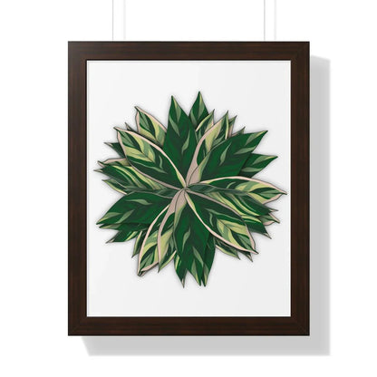 Stromanthe Triostar Framed Print – Botanical Wall Art