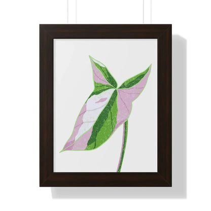 Syngonium Tricolor Framed Print – Botanical Wall Art