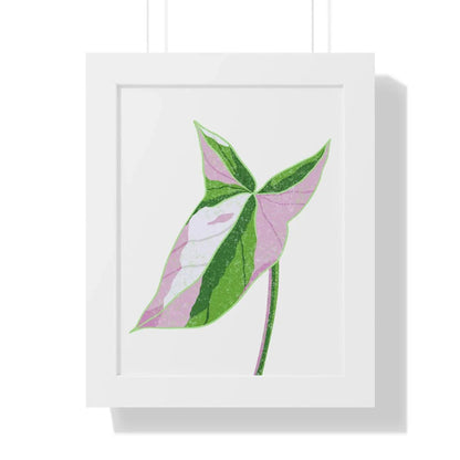 Syngonium Tricolor Framed Print – Botanical Wall Art