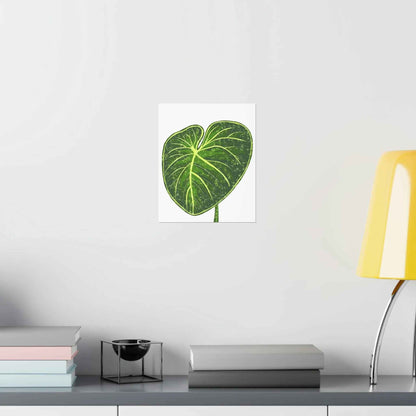Philodendron Gloriosum Botanical Print – Unframed Wall Art