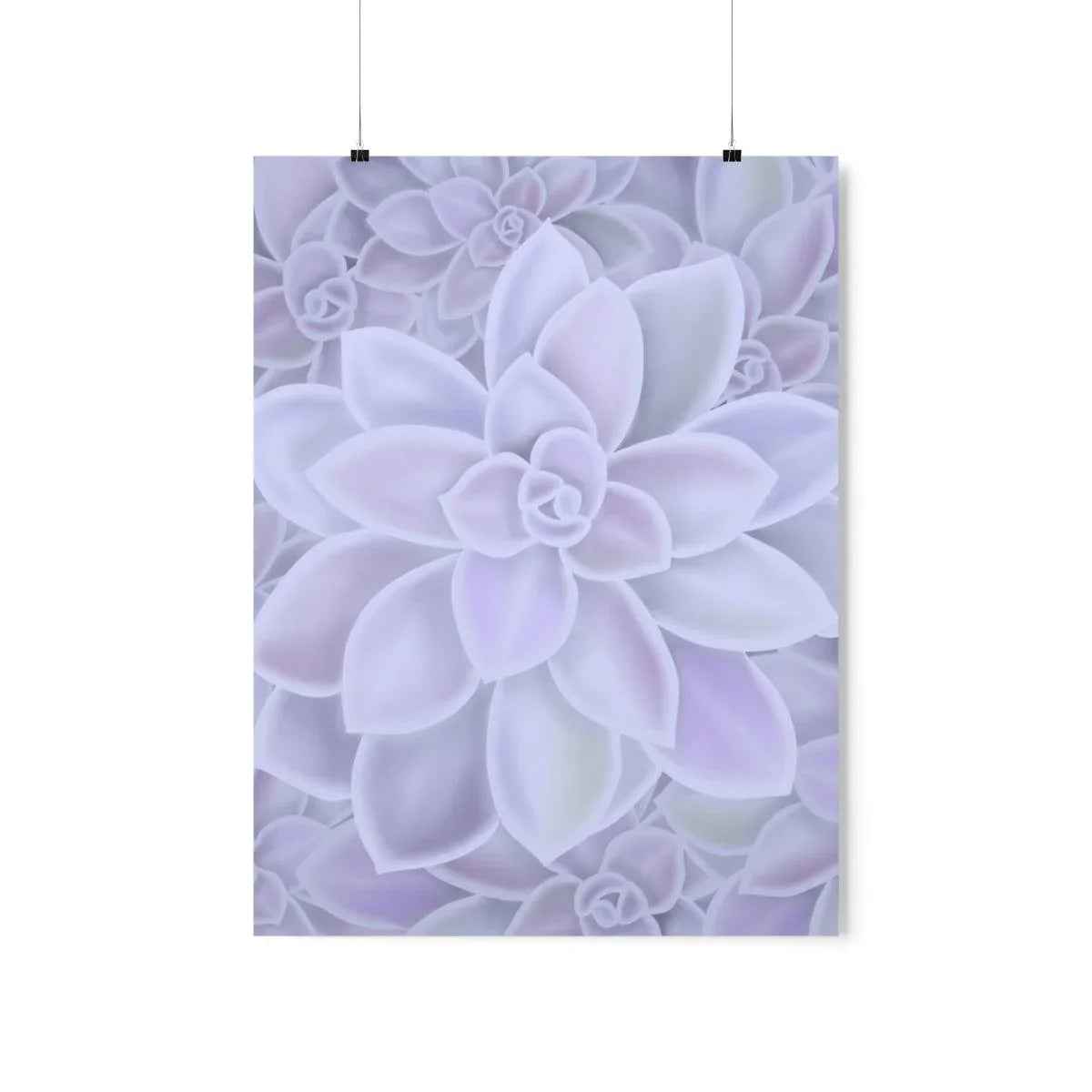 Graptopetalum Murasaki Succulent Pattern Botanical Print – Unframed Wall Art