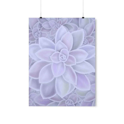 Graptopetalum Murasaki Succulent Pattern Botanical Print – Unframed Wall Art