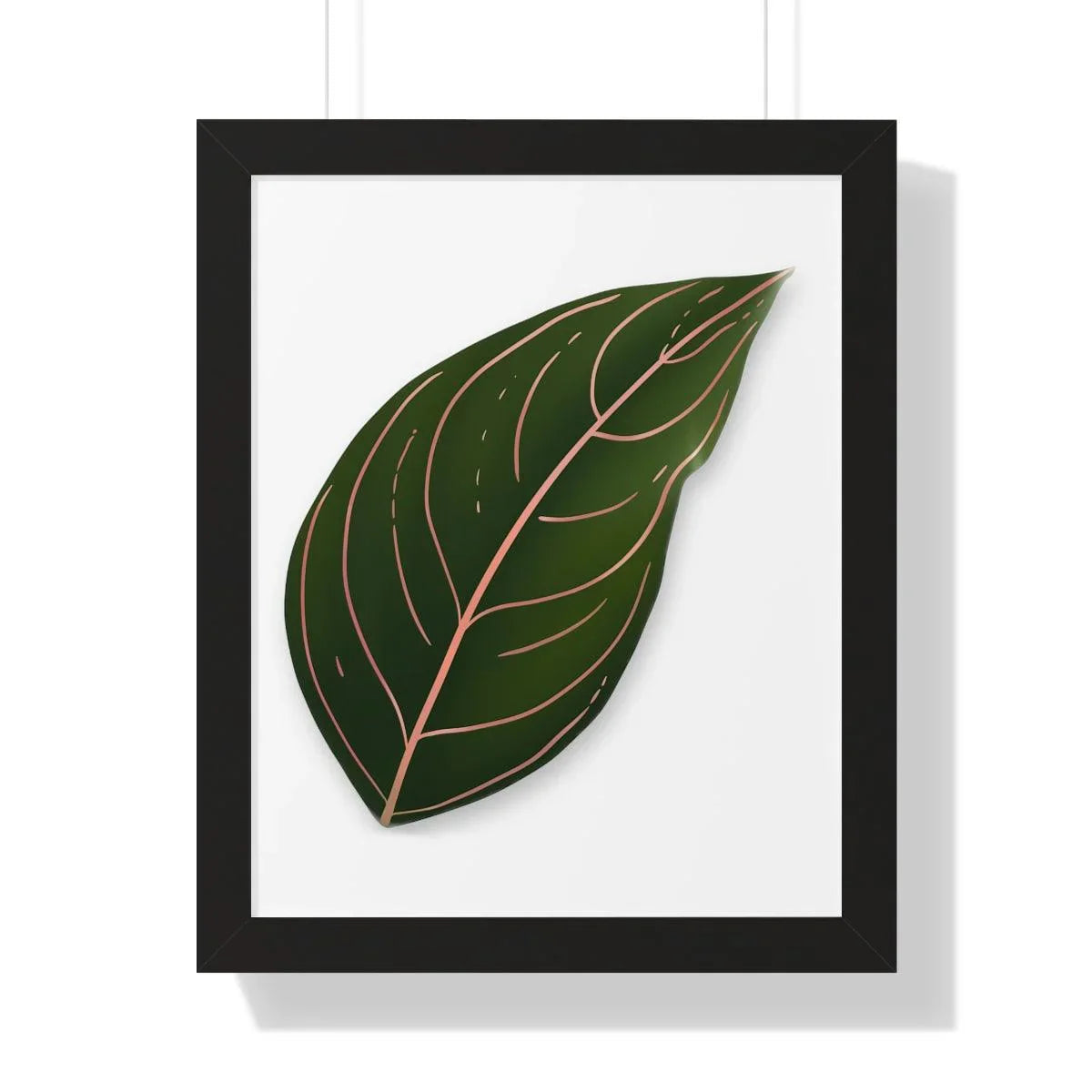 Aglaonema Rotundum Framed Print – Botanical Wall Art