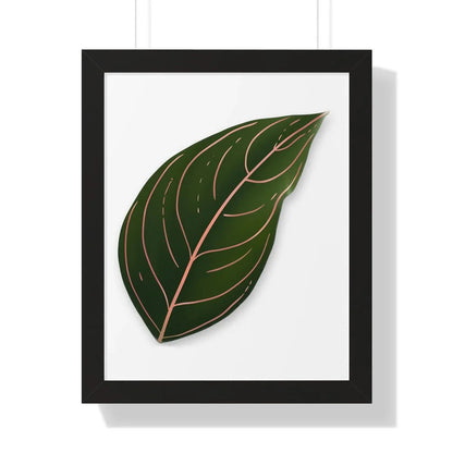 Aglaonema Rotundum Framed Print – Botanical Wall Art