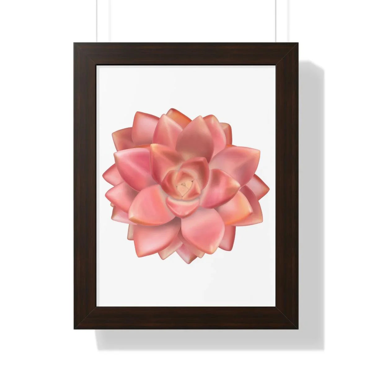 Graptosedum California Sunset Succulent Framed Print – Botanical Wall Art