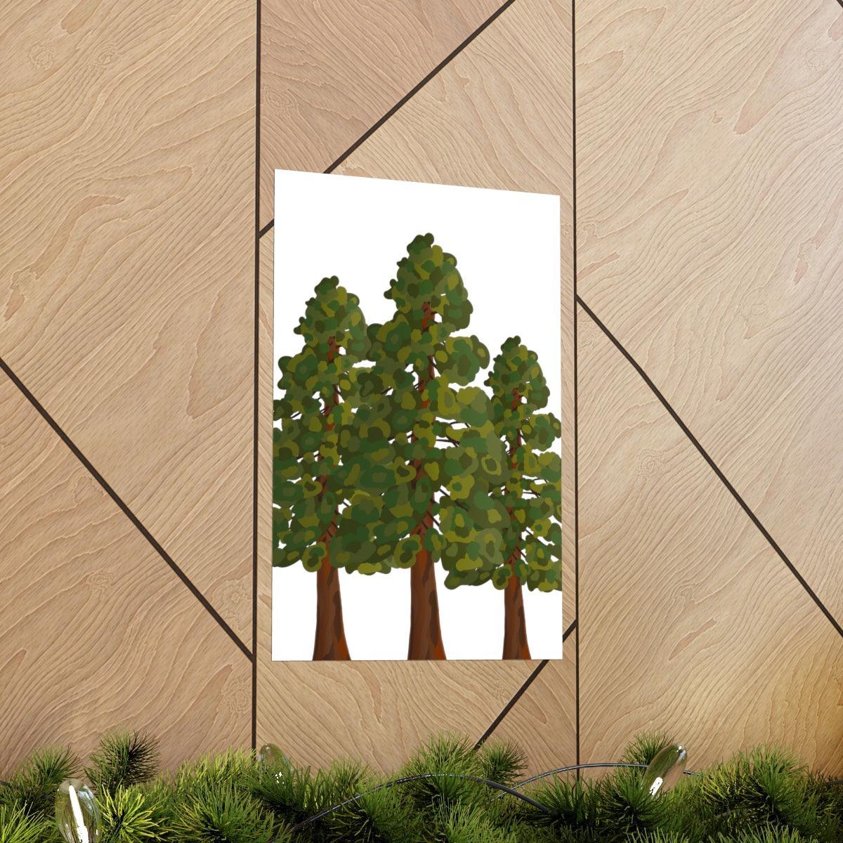 Coastal Redwood Print – Unframed Wall Art