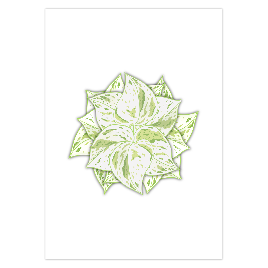 Snow Queen Pothos Greeting Card – Blank Inside With Envelope