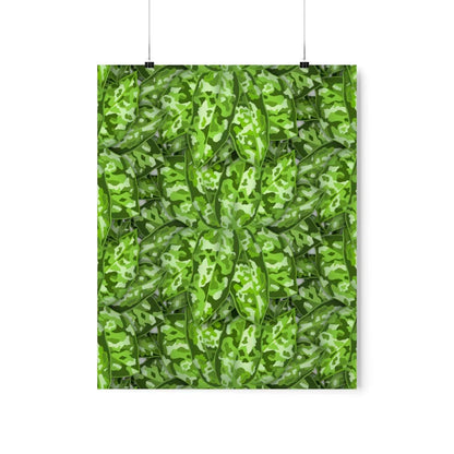 Aglaonema Pictum Botanical Print – Unframed Wall Art