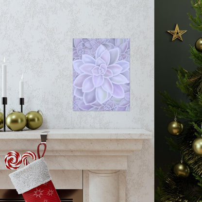 Graptopetalum Murasaki Succulent Pattern Botanical Print – Unframed Wall Art