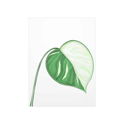 Monstera Albo Botanical Print – Unframed Wall Art
