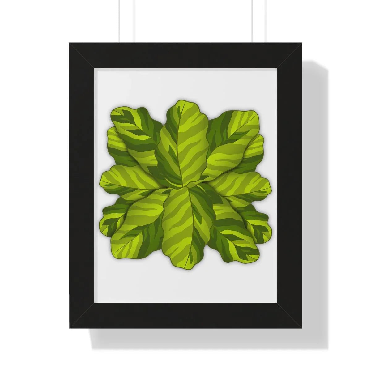 Calathea Yellow Fusion Framed Print – Botanical Wall Art