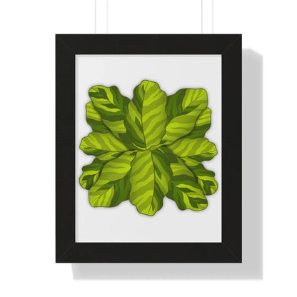 Calathea Yellow Fusion Framed Print – Botanical Wall Art