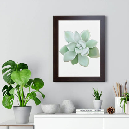 Pachyveria Haagei Succulent Framed Print – Botanical Wall Art
