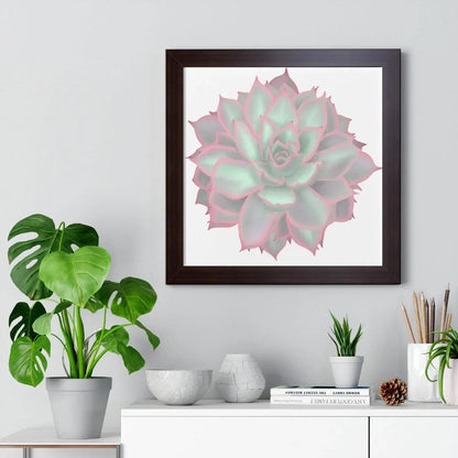 Echeveria Violet Queen Succulent Framed Print – Botanical Wall Art
