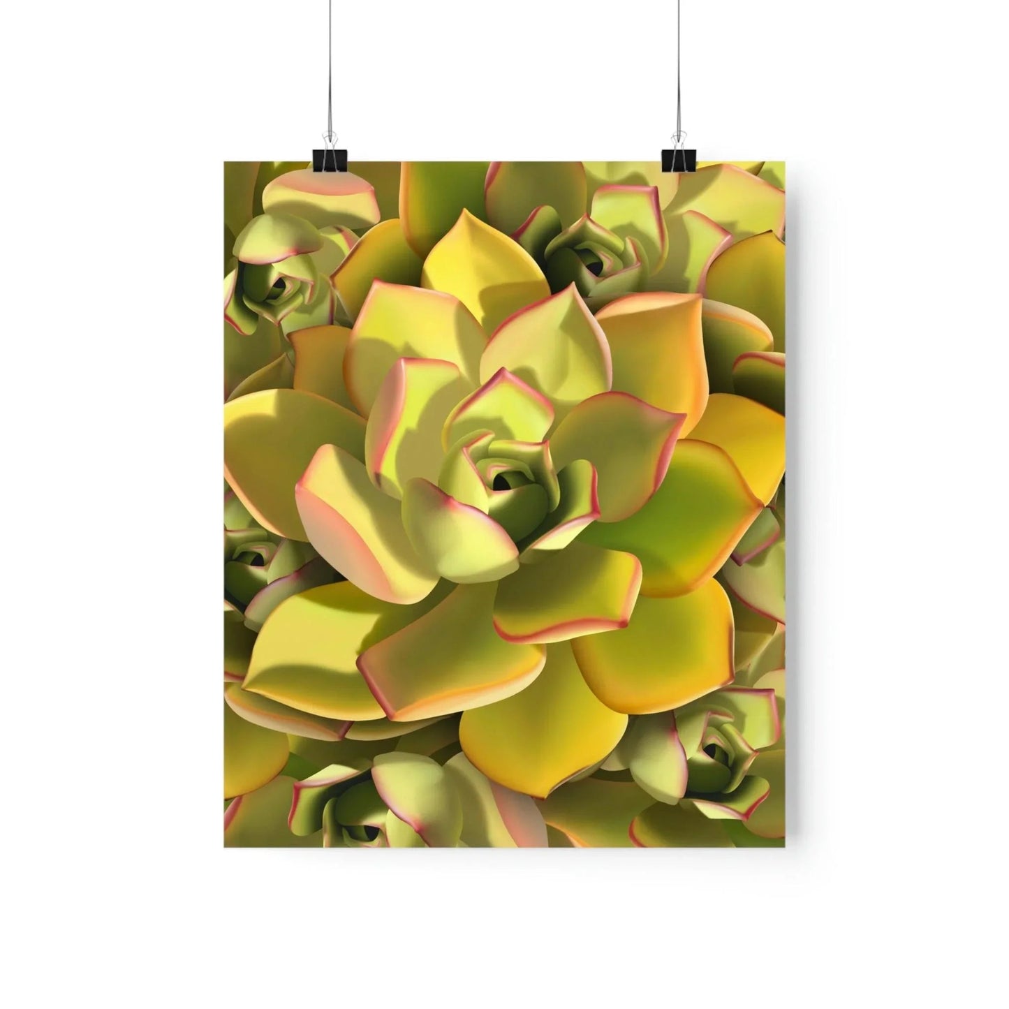 Noble Aeonium Succulent Pattern Botanical Print – Unframed Wall Art