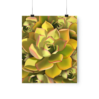 Noble Aeonium Succulent Pattern Botanical Print – Unframed Wall Art
