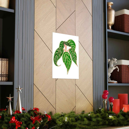 Aglaonema Sparkling Sarah Botanical Print – Unframed Wall Art
