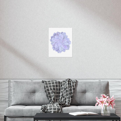 Graptopetalum Murasaki Succulent Botanical Print – Unframed Wall Art