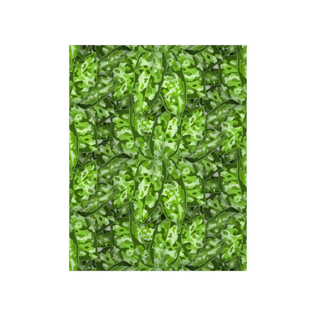 Aglaonema Pictum Botanical Print – Unframed Wall Art