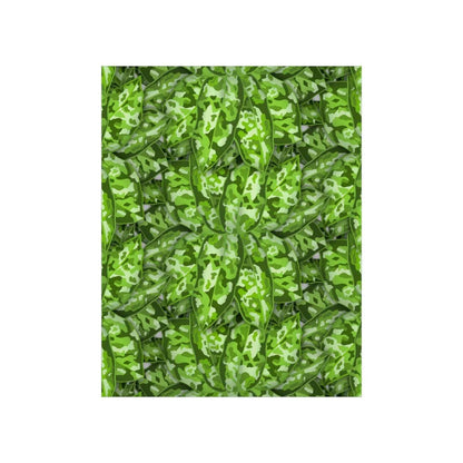 Aglaonema Pictum Botanical Print – Unframed Wall Art