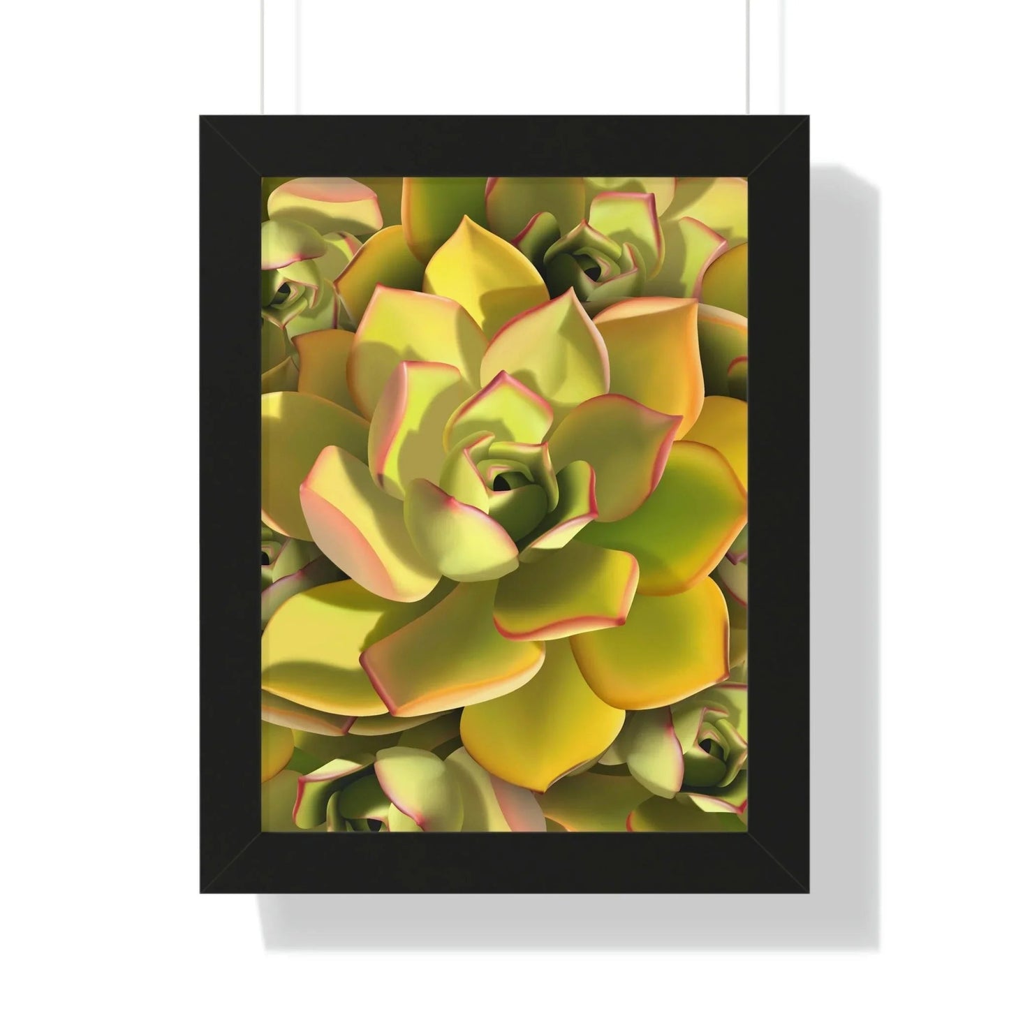 Noble Aeonium Succulent Pattern Framed Print – Botanical Wall Art