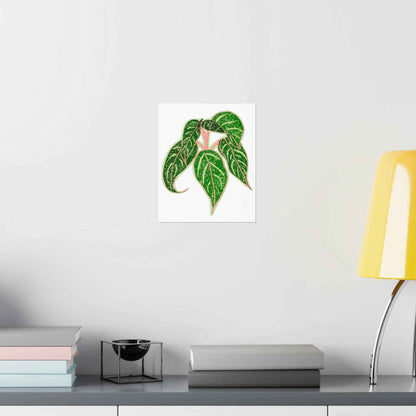 Aglaonema Sparkling Sarah Botanical Print – Unframed Wall Art
