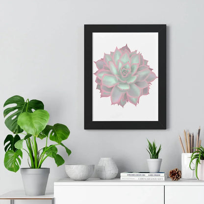 Echeveria Violet Queen Succulent Framed Print – Botanical Wall Art