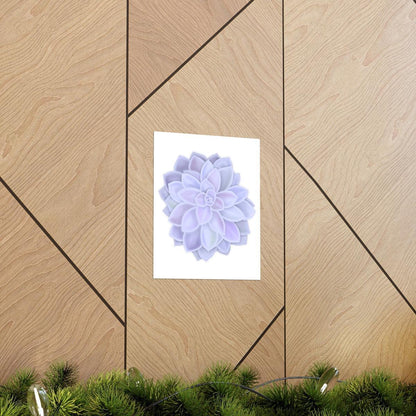 Graptopetalum Murasaki Succulent Botanical Print – Unframed Wall Art