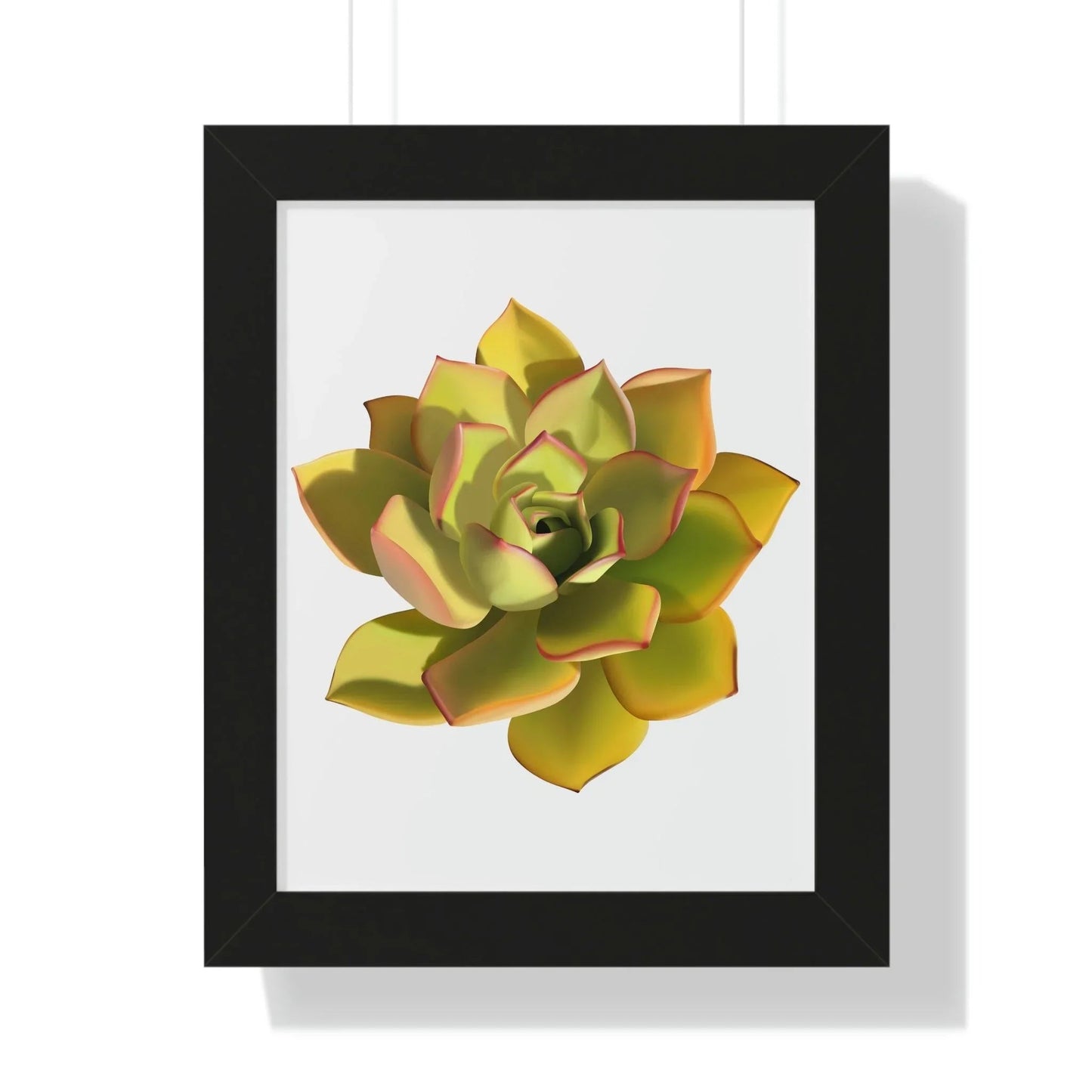 Noble Aeonium Succulent Framed Print – Botanical Wall Art