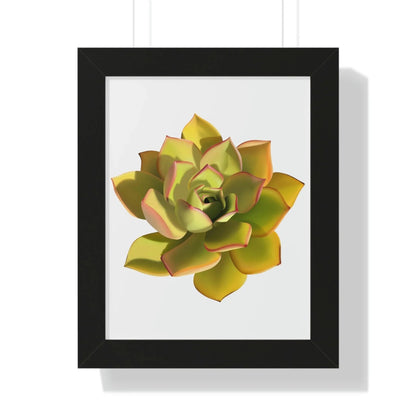 Noble Aeonium Succulent Framed Print – Botanical Wall Art