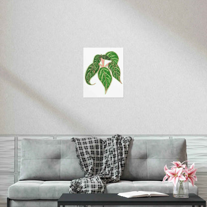 Aglaonema Sparkling Sarah Botanical Print – Unframed Wall Art
