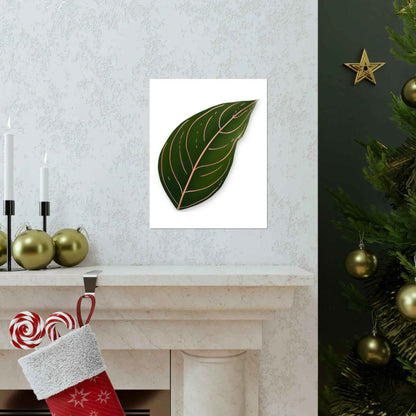 Aglaonema Rotundum Botanical Print – Unframed Wall Art