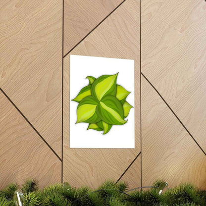 Philodendron Brasil Botanical Print – Unframed Wall Art