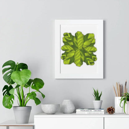 Calathea Yellow Fusion Framed Print – Botanical Wall Art