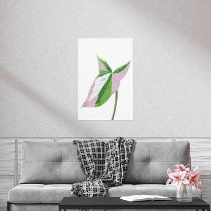 Syngonium Tricolor Botanical Print – Unframed Wall Art