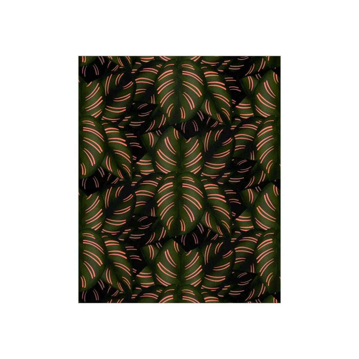 Calathea Pinstripe Botanical Print – Unframed Wall Art