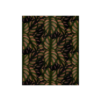 Calathea Pinstripe Botanical Print – Unframed Wall Art