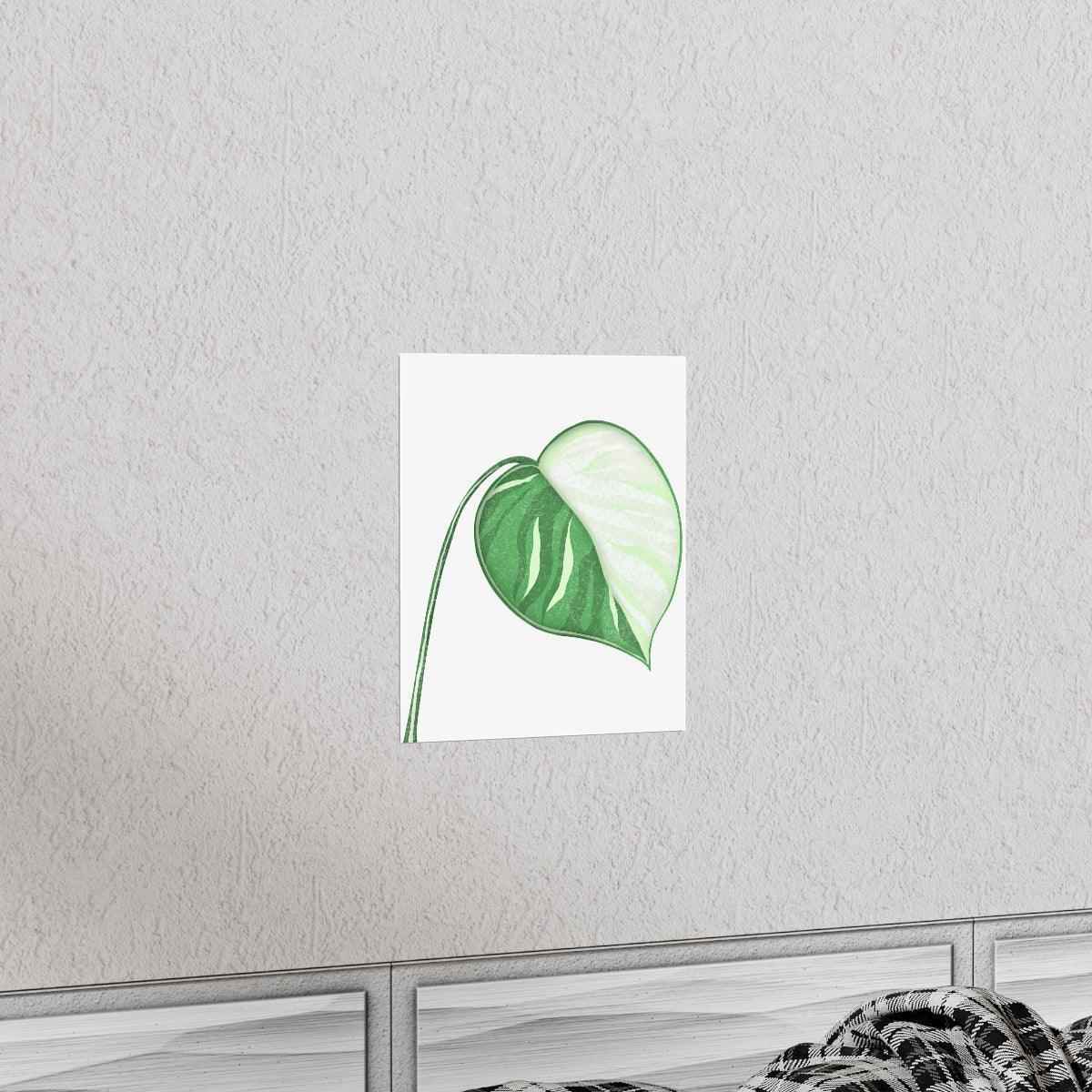 Monstera Albo Botanical Print – Unframed Wall Art