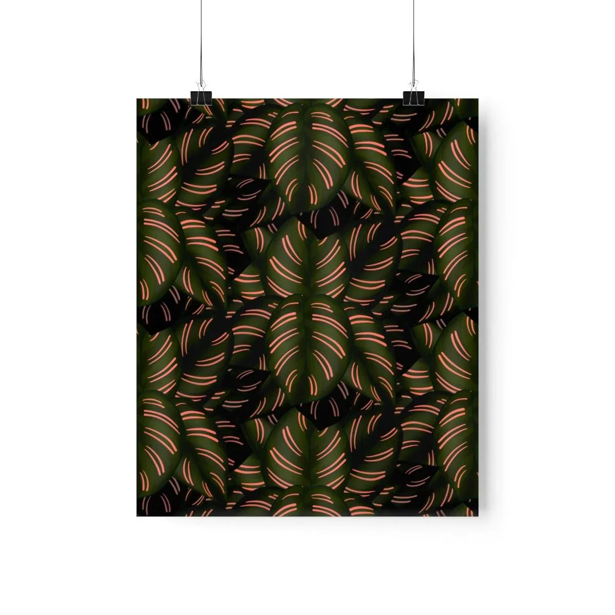 Calathea Pinstripe Botanical Print – Unframed Wall Art