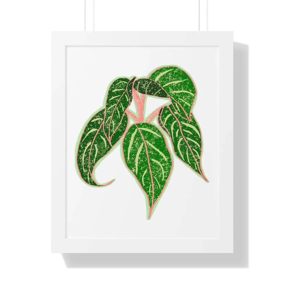 Aglaonema Sparkling Sarah Framed Print – Botanical Wall Art